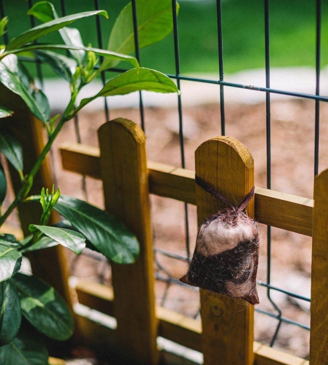 pachový repelent na diviakov